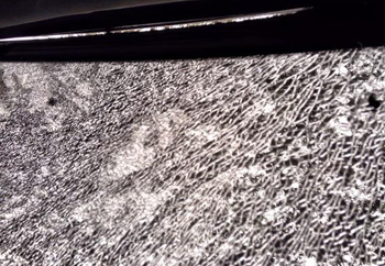 Shattered Sunroof Scion tc