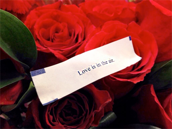 Valentines Day roses and love is in the air fortune